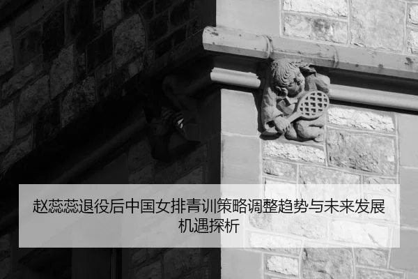赵蕊蕊退役后中国女排青训策略调整趋势与未来发展机遇探析